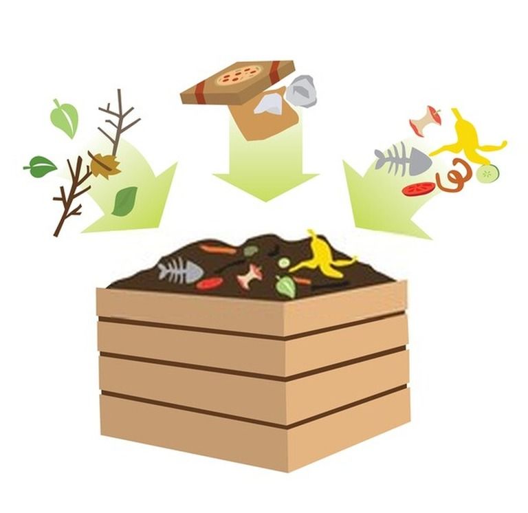 How Do You Make Compost At Home? Step By Step Guide