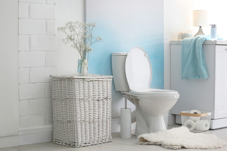 best toilet for flushing large waste